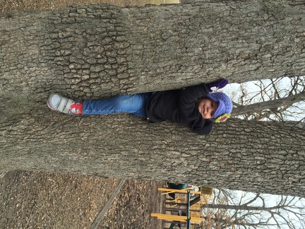 Greta in a tree1
